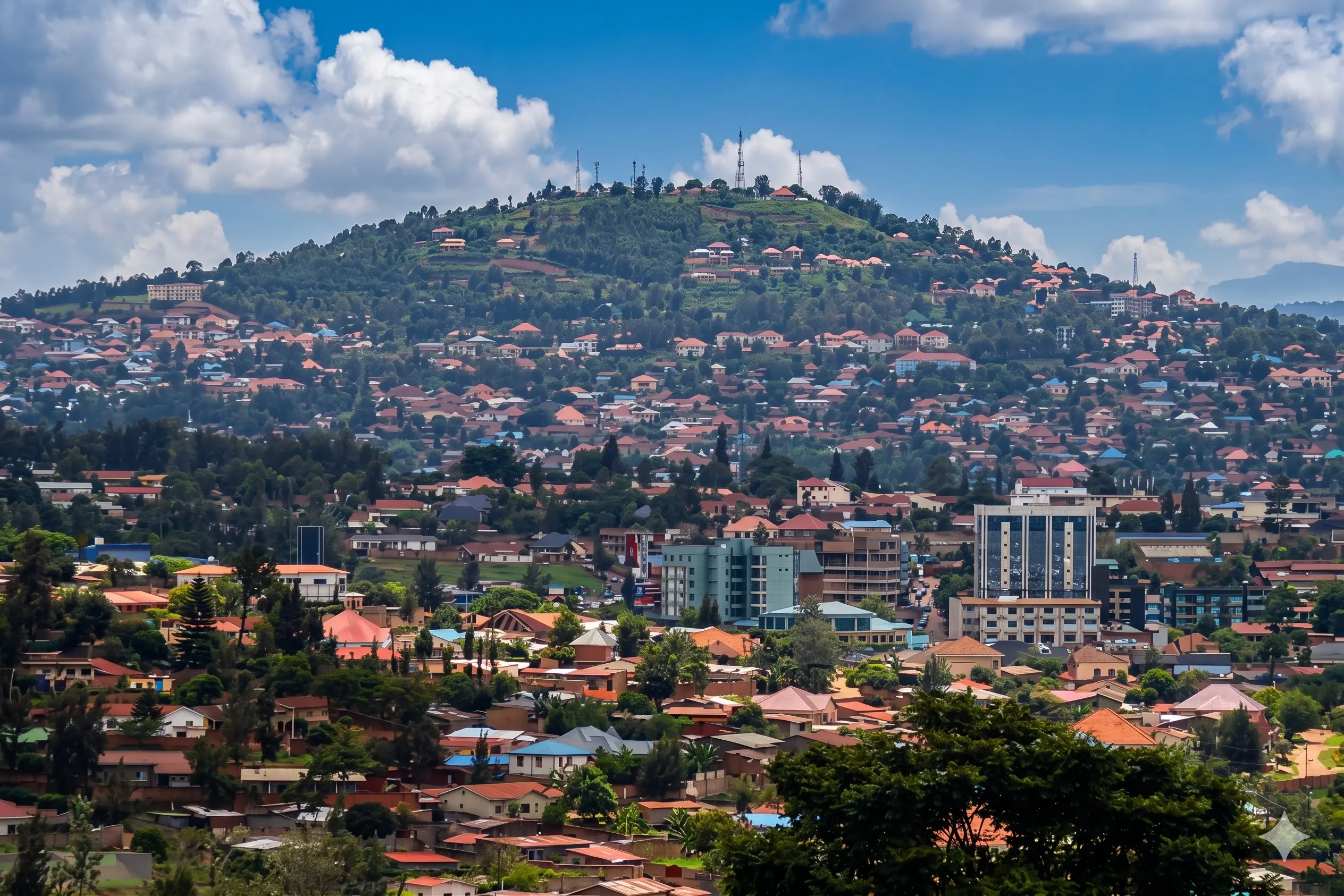 City View